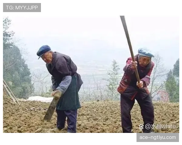 杨力维随手一刷卡的消费明细，我看完只想回老家种地