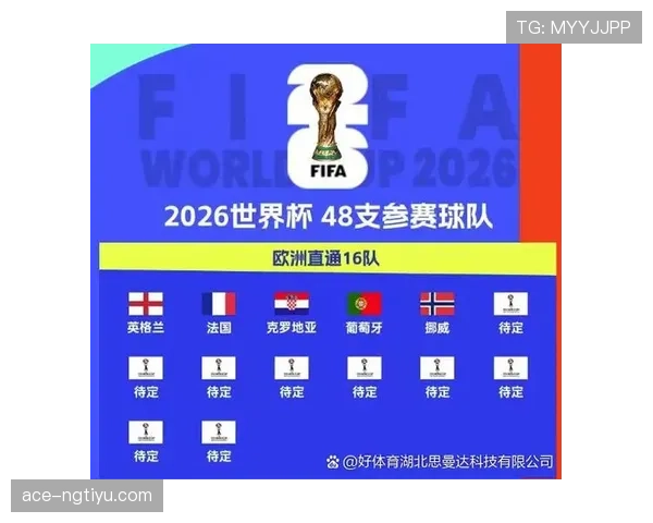 2026世界杯最新小组排名如何确定